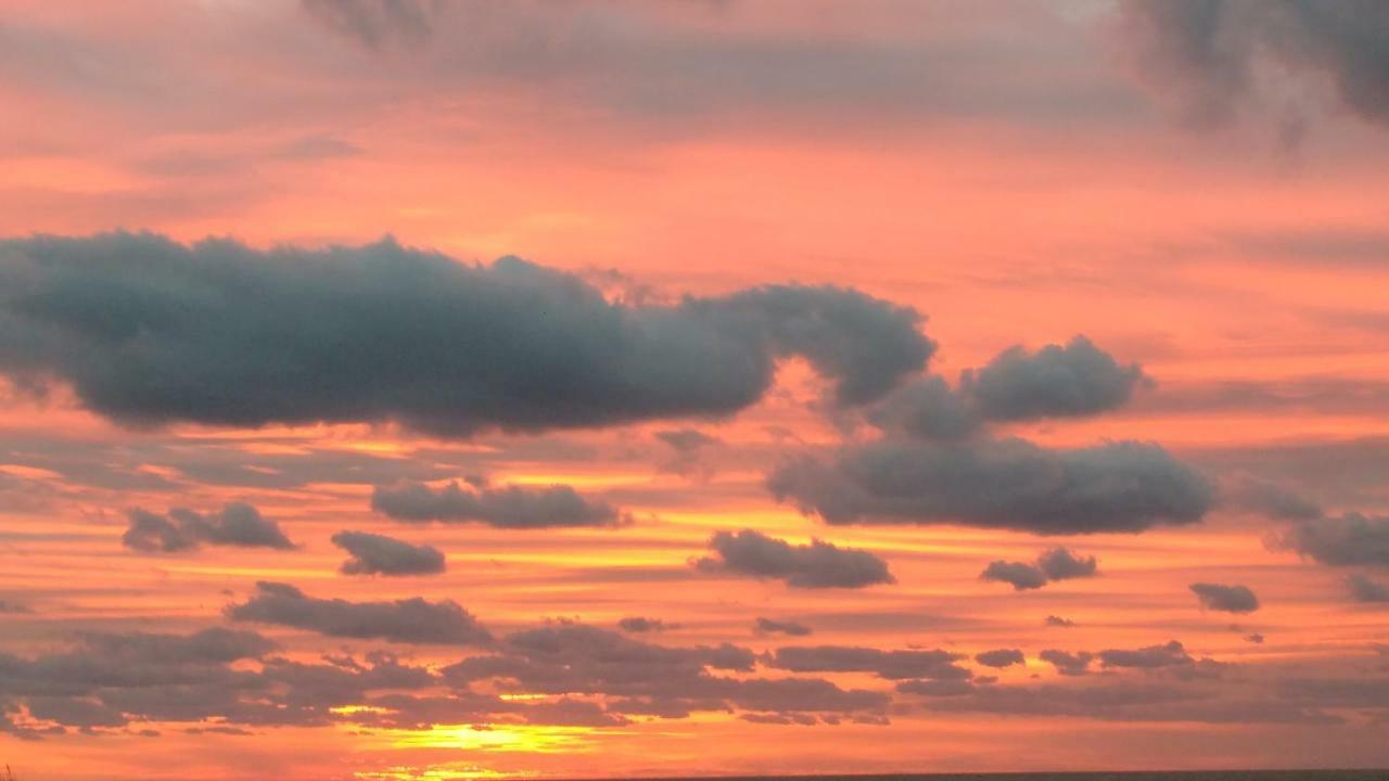 קוקסיידה Malibu Beach מראה חיצוני תמונה